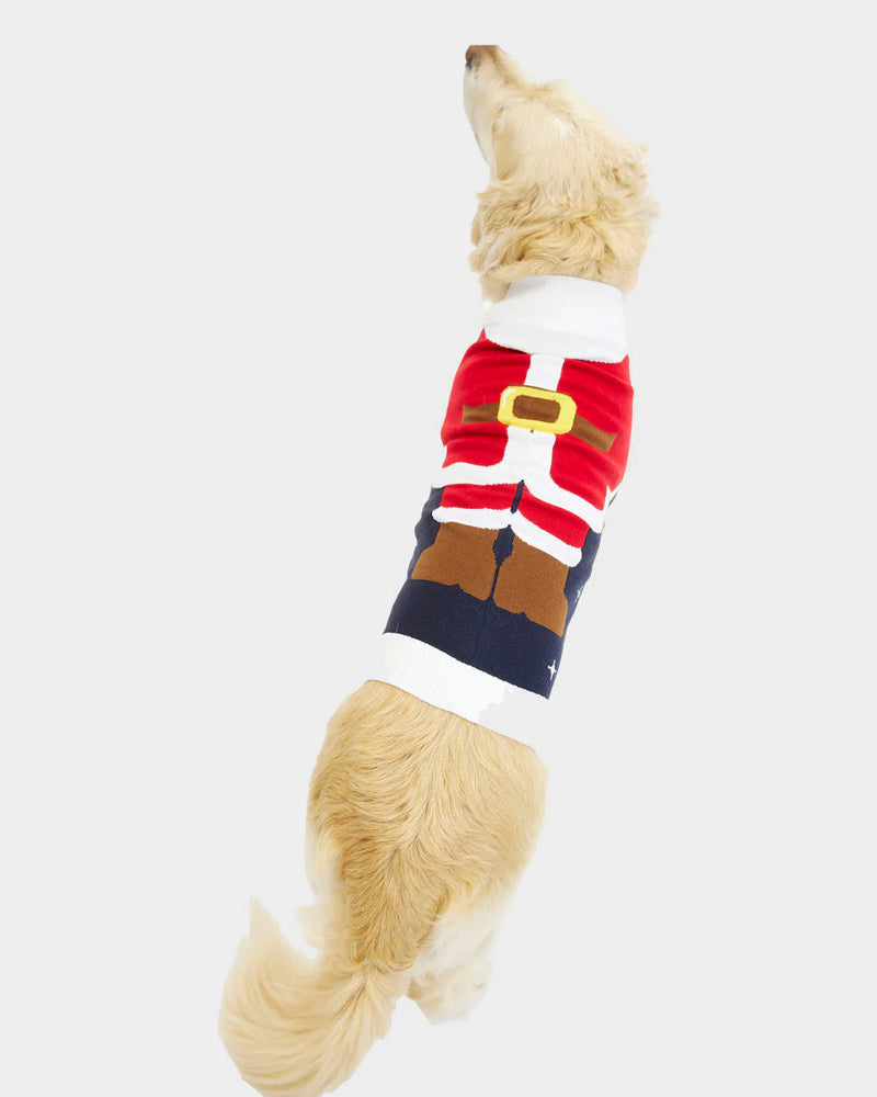Jersey de Navidad Perros Traje Santa
