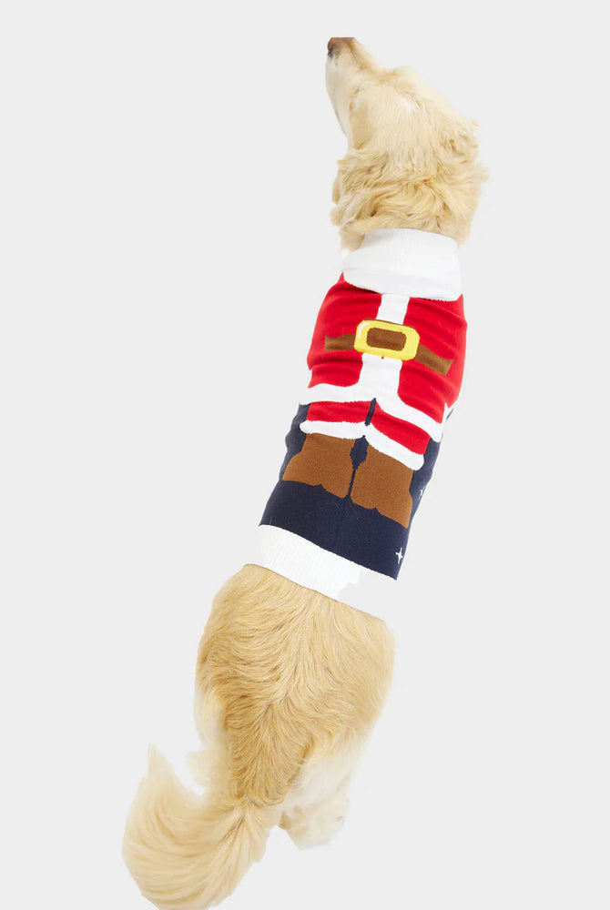 Jersey de Navidad Perros Traje Santa