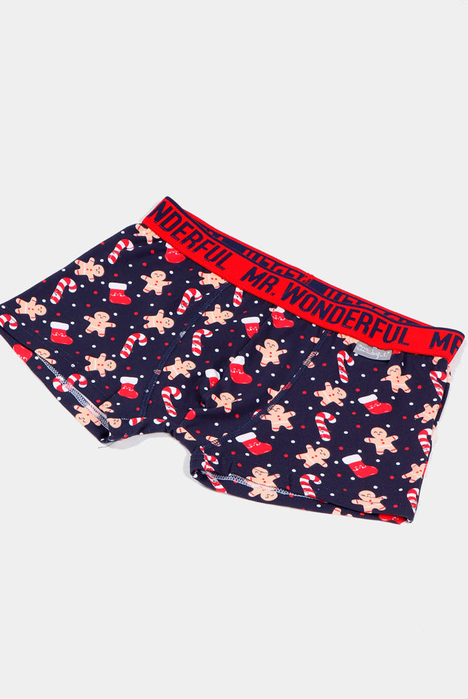 Calzoncillo Boxer Mr Wonderful