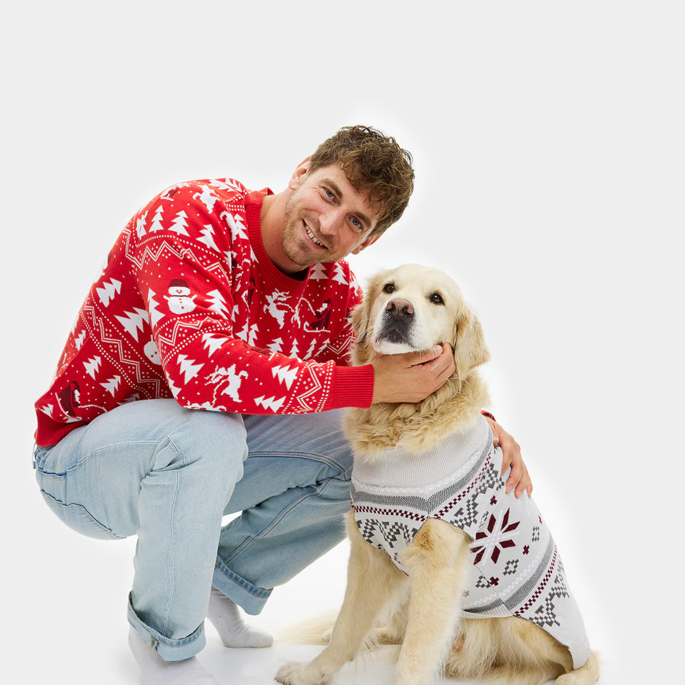 Jersey de Navidad para Perros Gris Estrellas Polares Hombre
